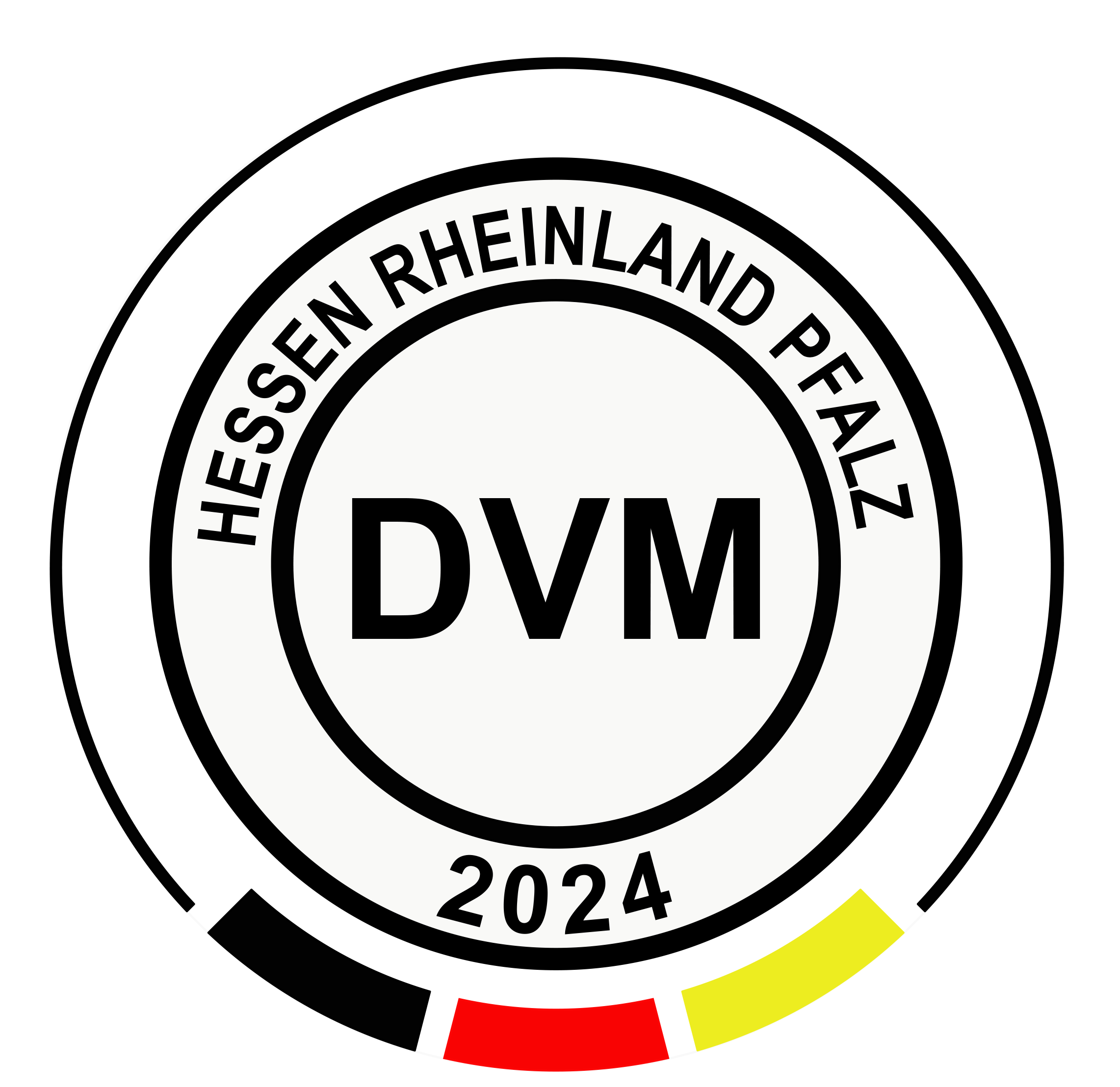 DVM Logo